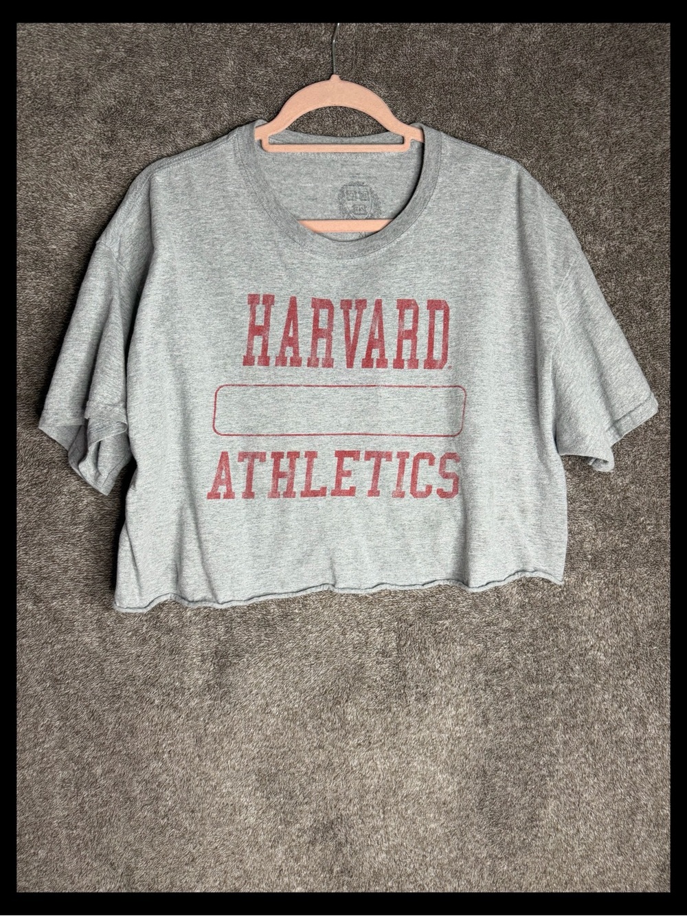 H&M Gray Cropped Tee with Red Harvard Athletics Print